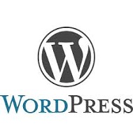 WordPress offered at The Protec Computer Institute Naval Colony Karachi.